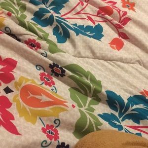 Meet your Posher, Kalli